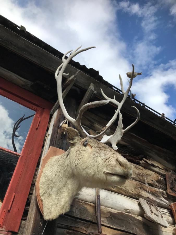 Froyas Hus Maison d'hôtes Røros